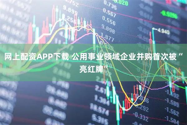 网上配资APP下载 公用事业领域企业并购首次被“亮红牌”