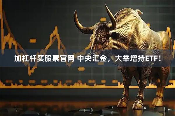 加杠杆买股票官网 中央汇金,大举增持ETF!